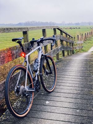Grizl op een brug