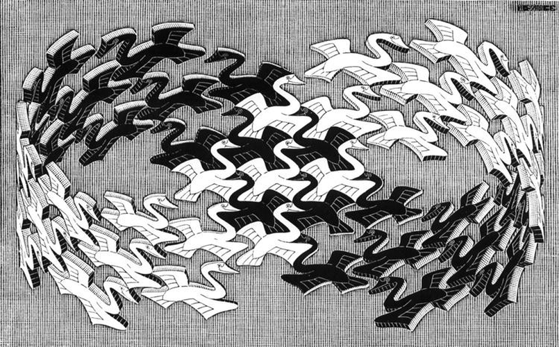 Swans (M.C Escher, 1956)