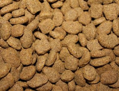 How Many Cups Are in a Pound of Dog Food?