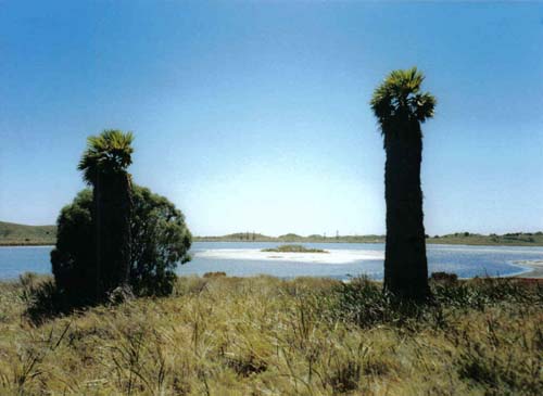 Perth Rottnest lake