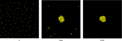 Cell configurations as simulated by the updated model and shown at time points that correspond to those in the published figure (here given in MCS below each panel instead of the output counter `t` above, e.g. 195 * 50 MCS = 9750 MCS).