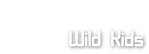 Wild Kids logo