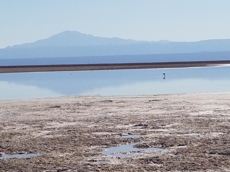The salt flats at Los Flamencos National Reserve