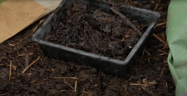 Compost in a tray on some other compost