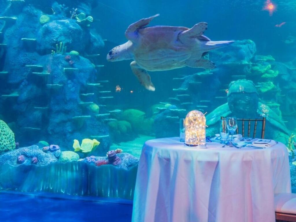Aquarium private dining 2021 UpNext