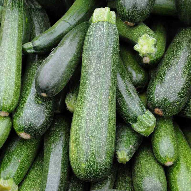Griechisch-Lebensmittel-Griechische-Produkte-bio-kretische-zucchini-500g