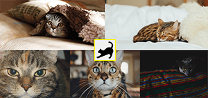 フルスクリーンレイアウト