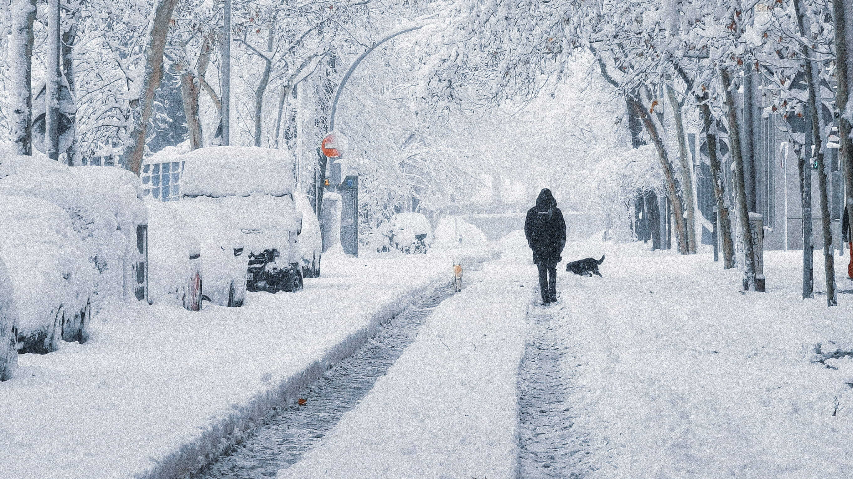 Mi calle esta mañana