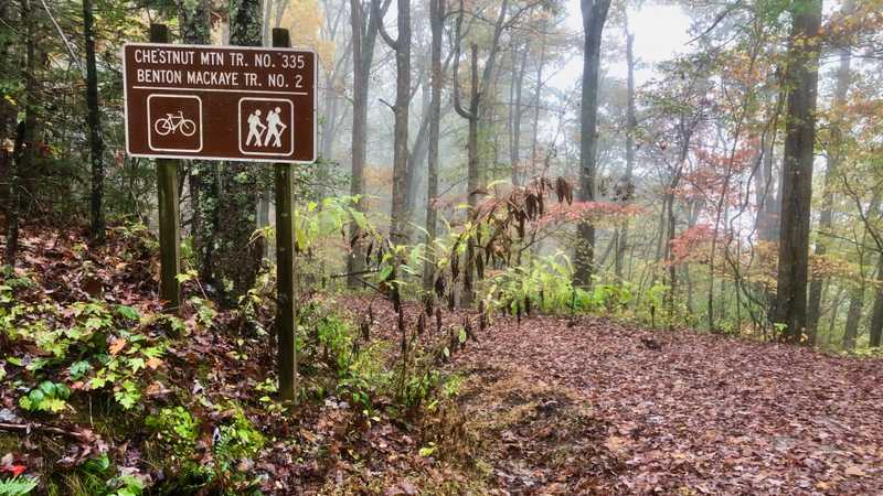 Chestnut Ridge Trail