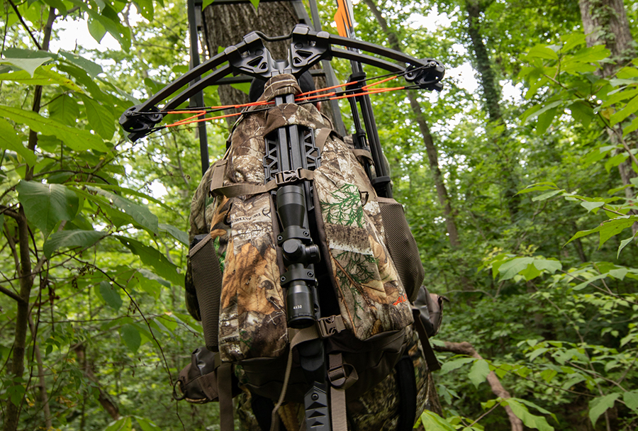 Desire RD BearX Crossbow // Bear Archery