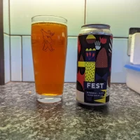 Hand Brew Co. - Fest