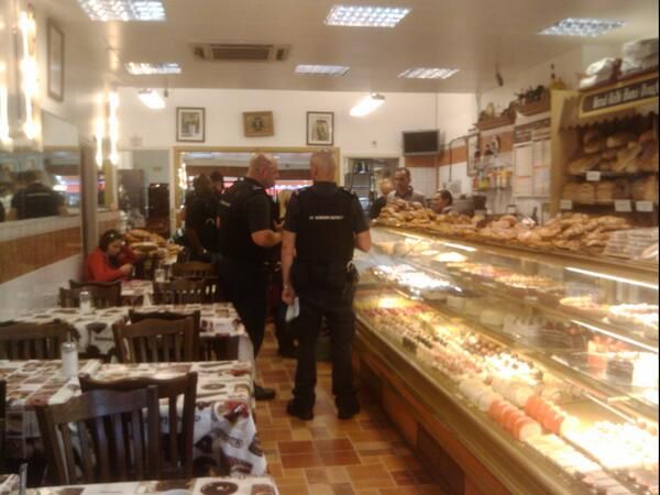 oh my god twitter doesn’t include alt text from images in their API