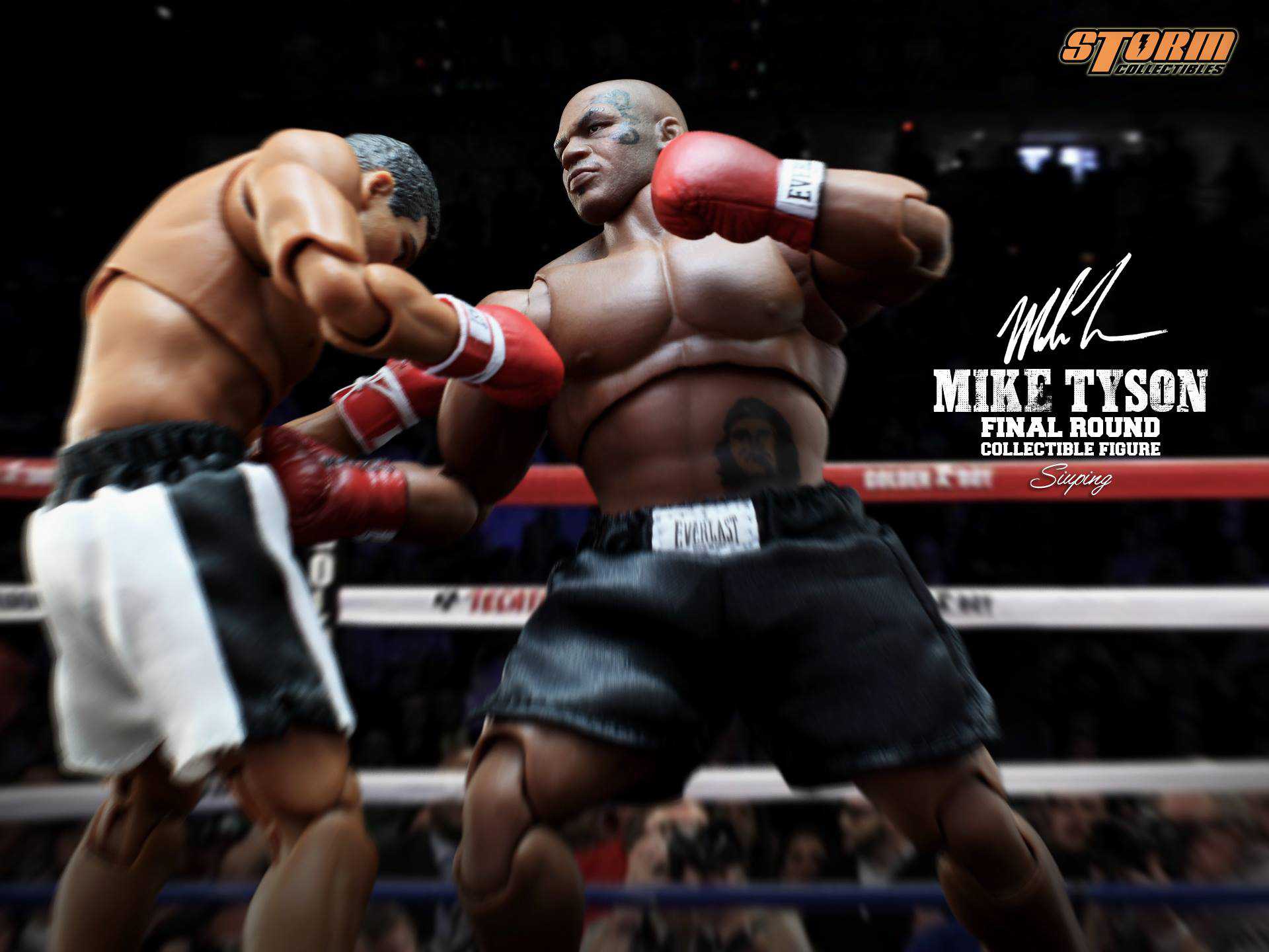 Mike Tyson Final Round