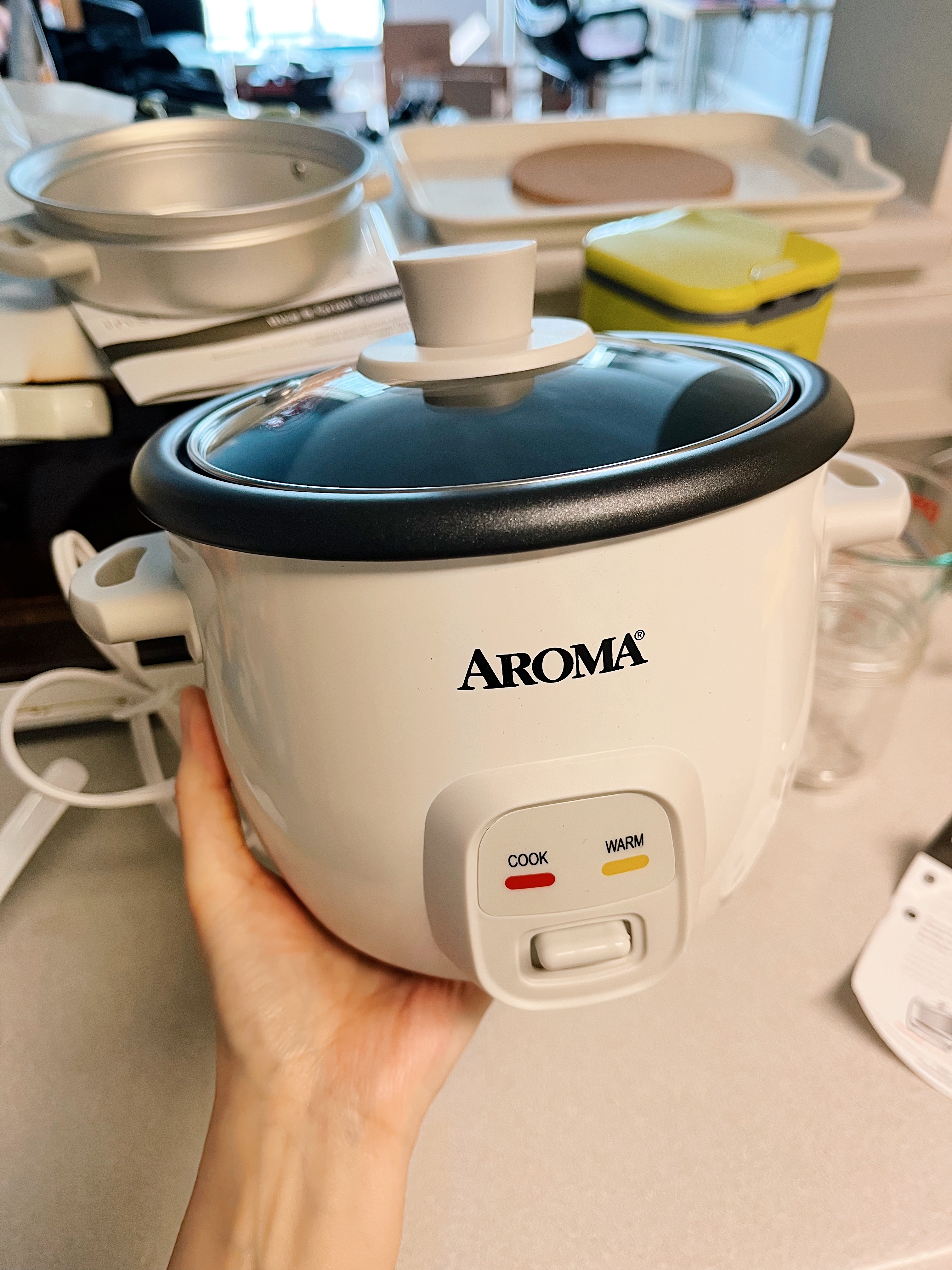 A rice cooker small enough that I'm holding it in my hand.