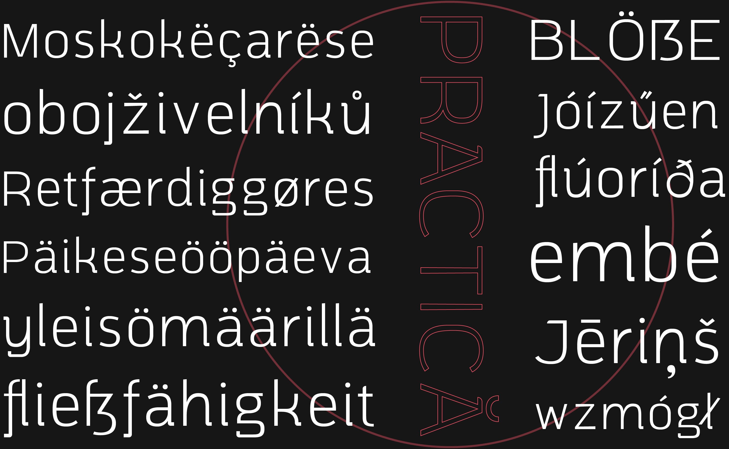 Languages of Practice-Sans Typeface by Alexandru Năstase
