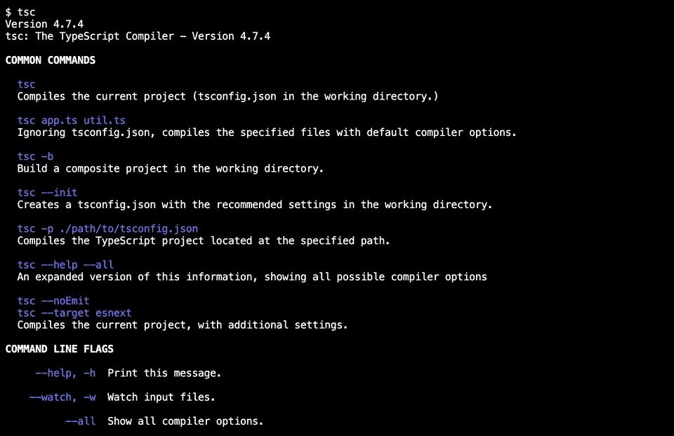 TypeScript example to run a program