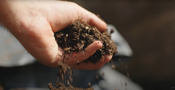 A hand full of compost