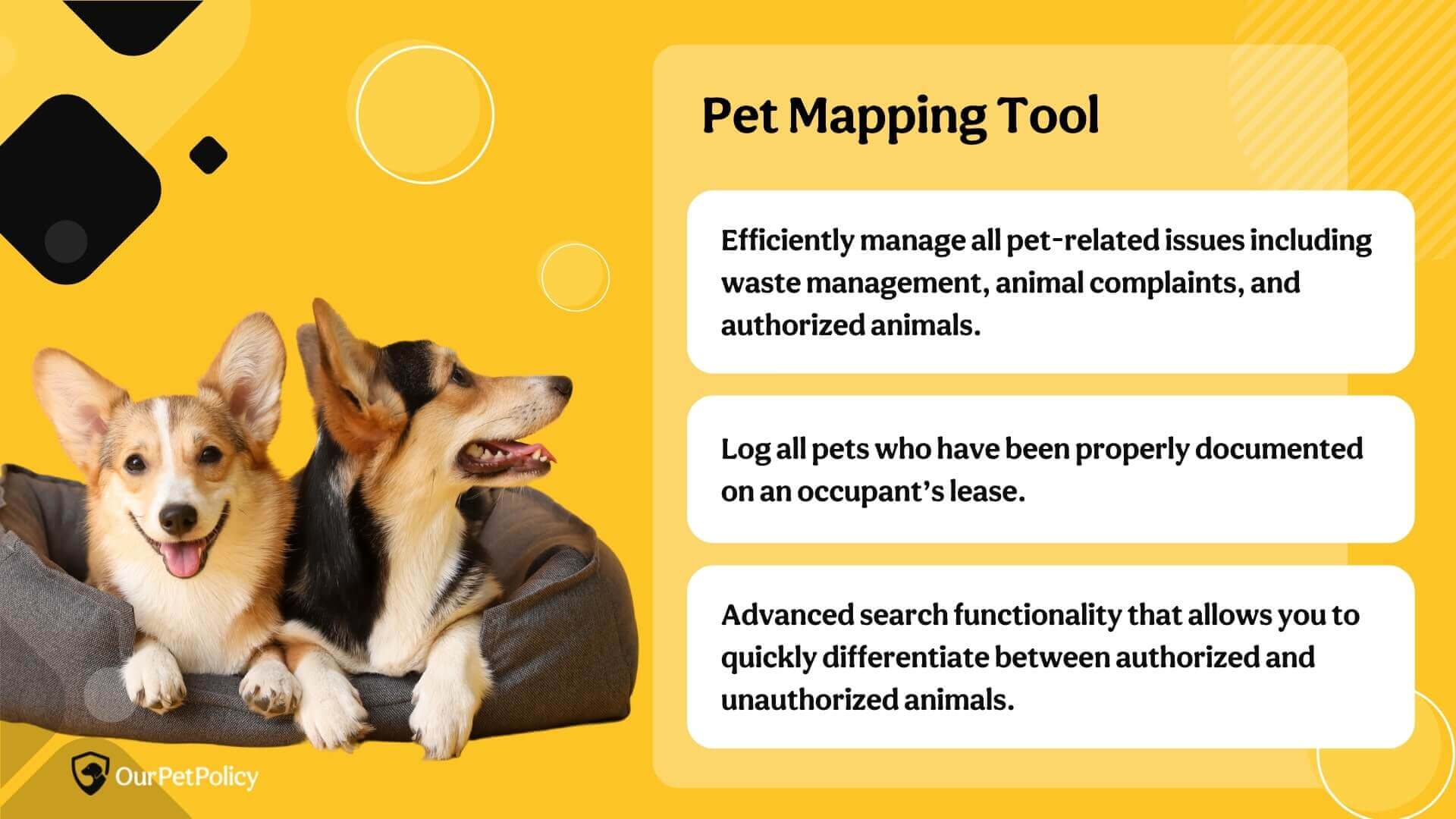 Pet mapping tool for pet-related issues