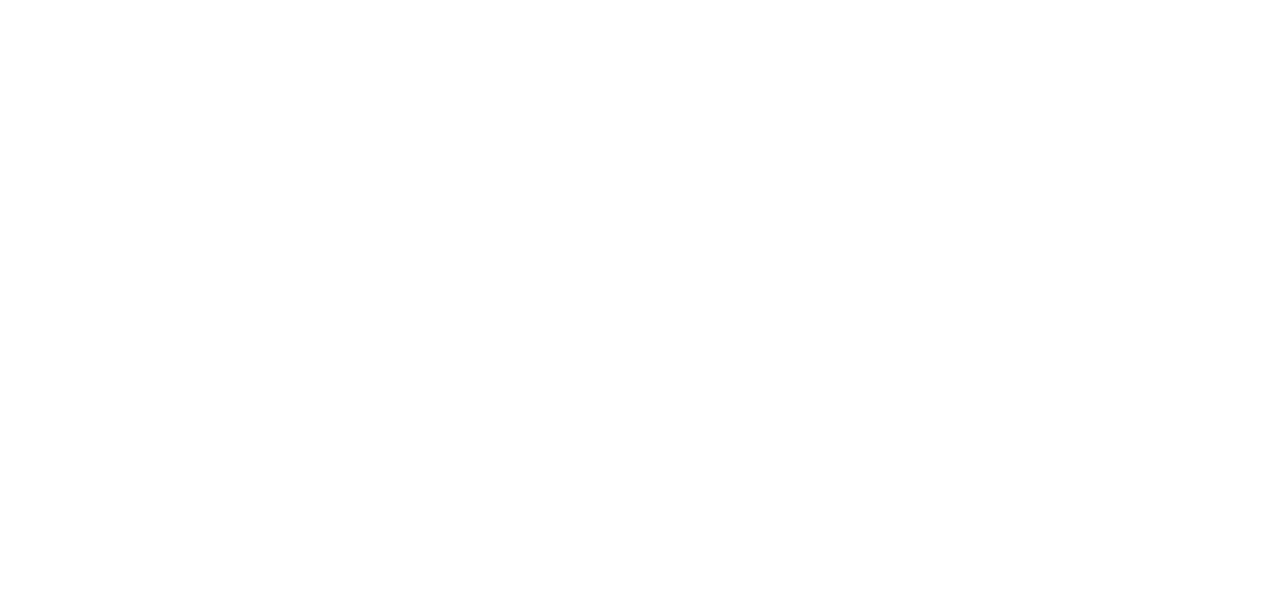 Droneciel logo