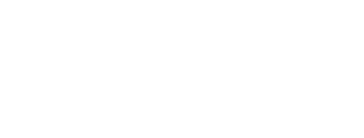 the saveur biere logo