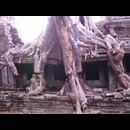Cambodia Jungle Ruins 12