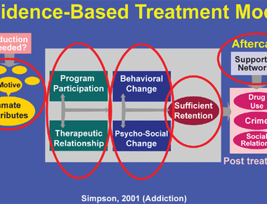 Psychological treatments for Mental Disorder in adults