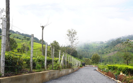 PROXIMITY TO THE HIGHWAY