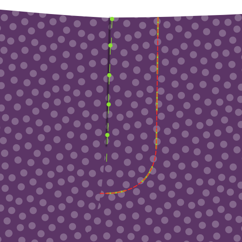 Topstitch the fly curve