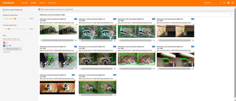annotation image raccoons2