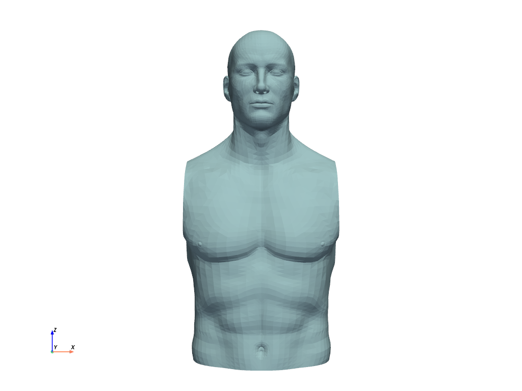 https://d33wubrfki0l68.cloudfront.net/38cf40fd92c67d0b77fc857a2dee7a766111ec65/a71dc/_images/pyvista-examples-downloads-download_torso-1_00_00.png
