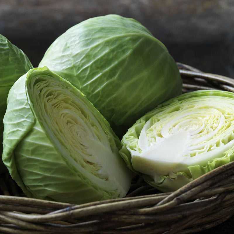 Greek-Grocery-Greek-Products-bio-cabbage-2-5kg