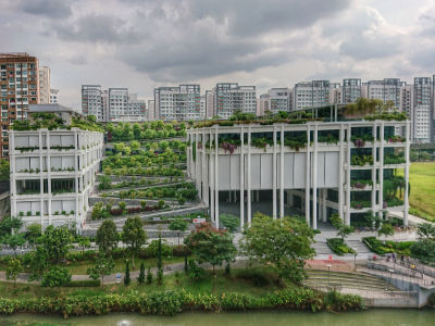 A wide shot of Oasis Terraces, an integrated shopping mall and community centre along Punggol Waterway. The white-coloured building is six stories tall and landscaped with trees, shrubs and grass.