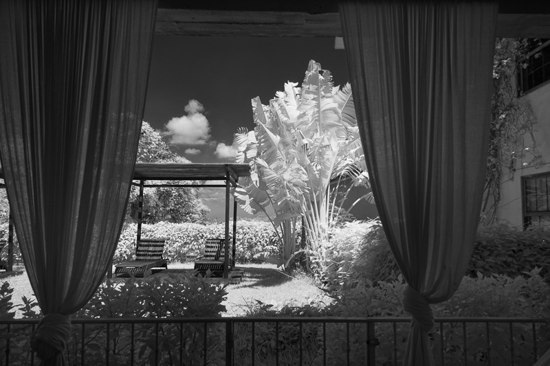 Room with a View