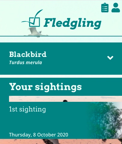 Screenshot from the homepage of the Fledgling app on a small screen