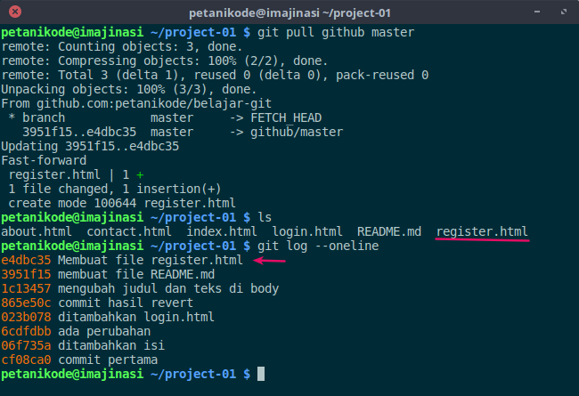 git pull