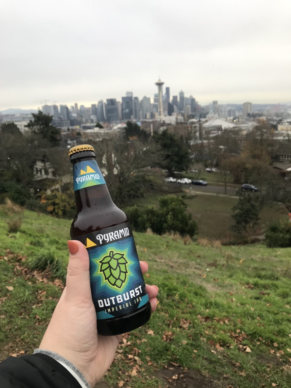 Views overlooking city at easily accessible Kerry Park in Seattle
