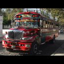 Guatemala Buses 2