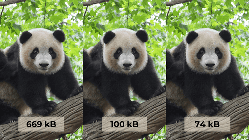 The same 3 images of a panda. The first image is 669 kB, the second is 100 kB, and the third one is 74 kB.