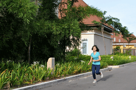 Nam Phương năng động