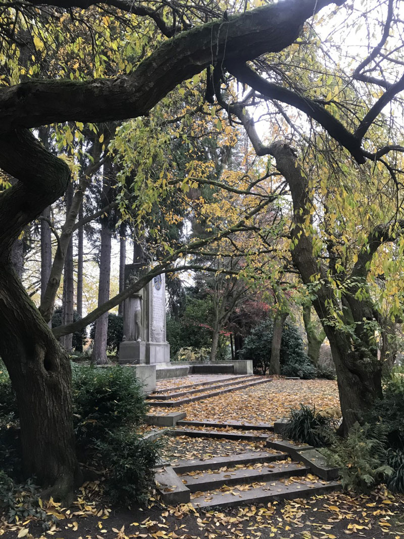 a garden path with shallow steps, covered in yellow leaves. Gnarled trees line the path.