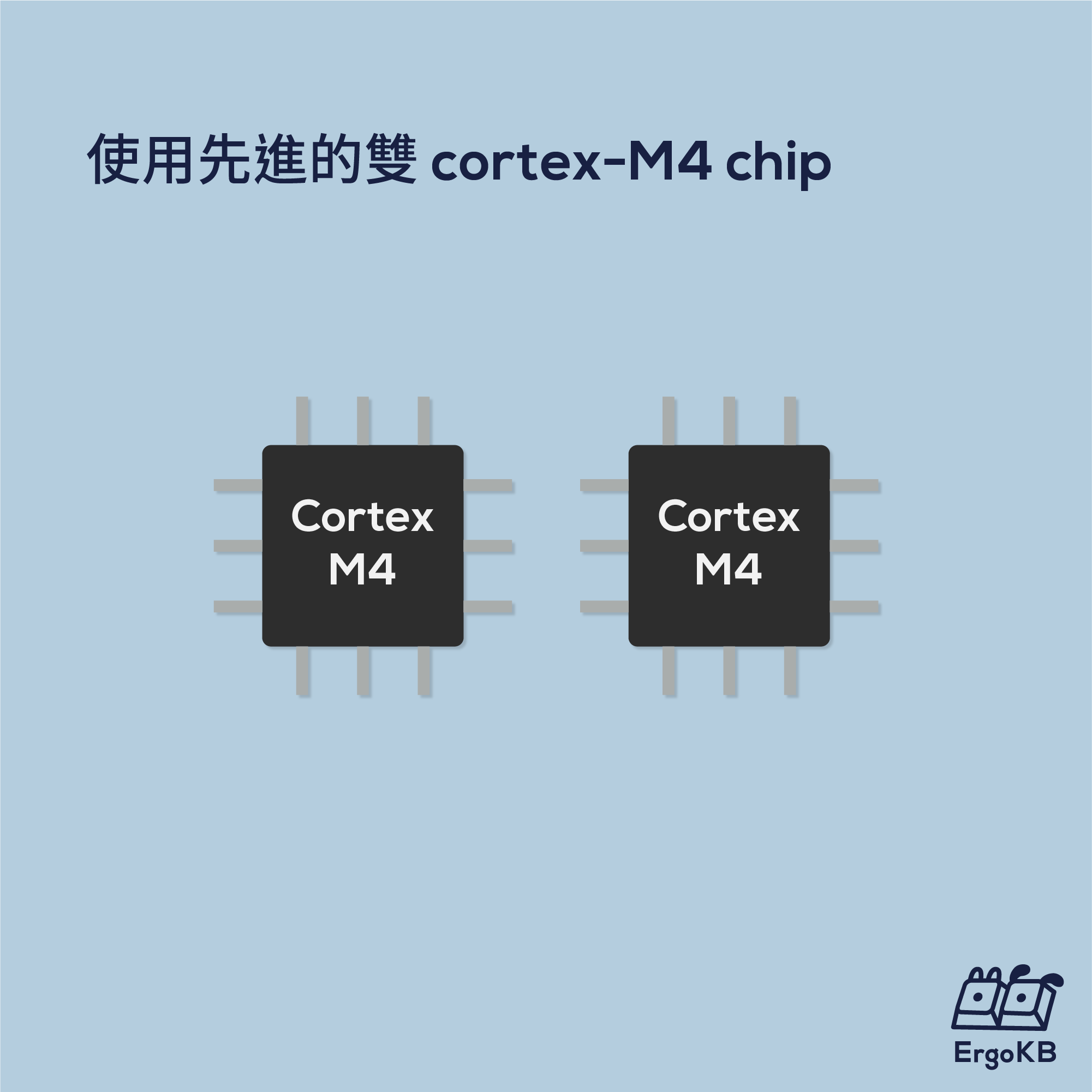 使用先進的雙 Cortex-M4 chip