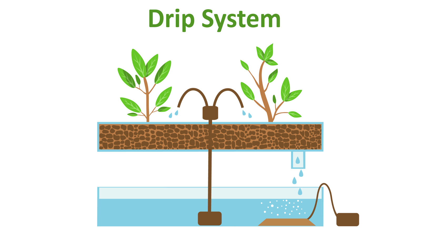 Hydroponic Drip System