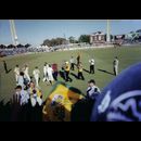 cricket Perth Austeam