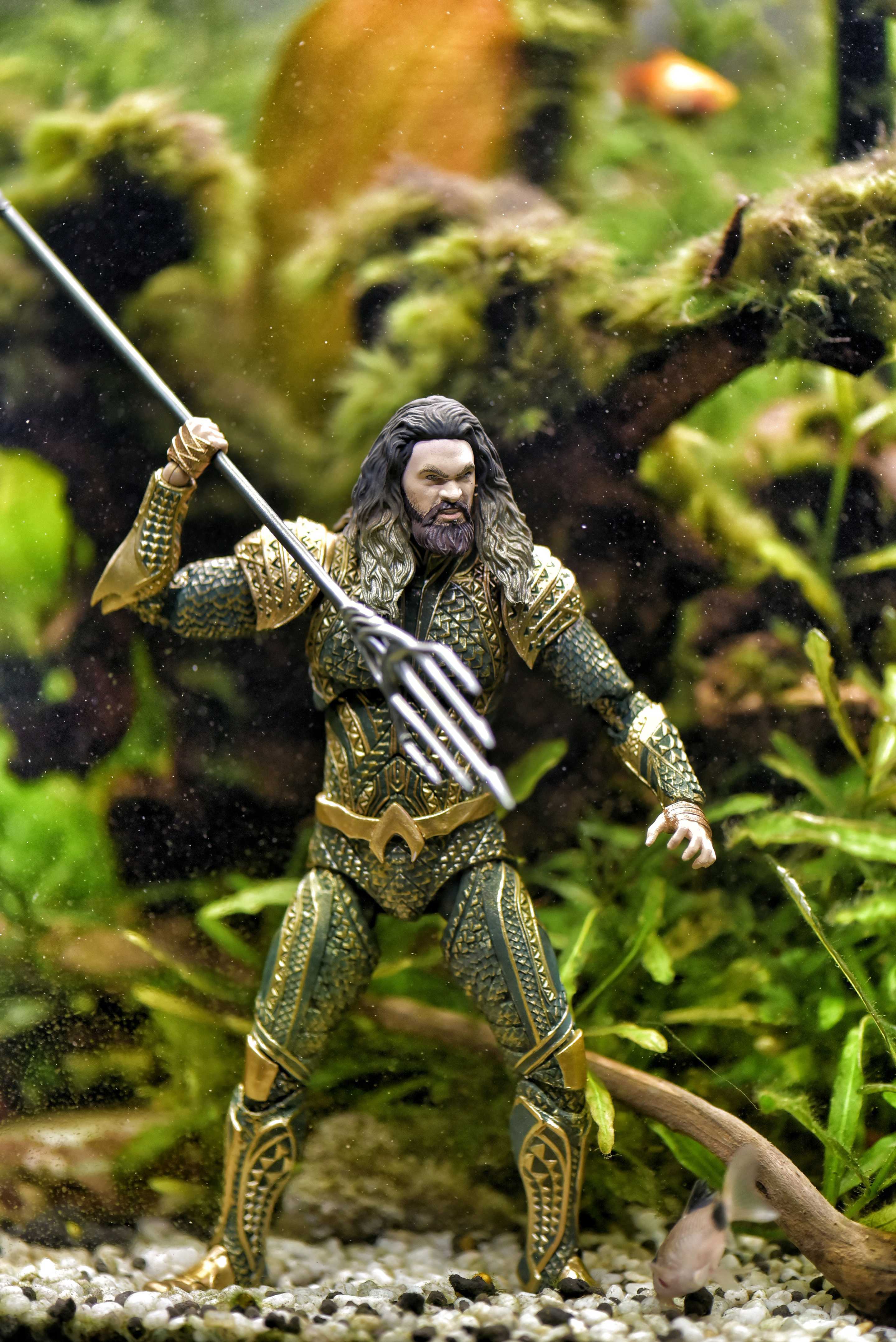 Aquaman In Fish Tank