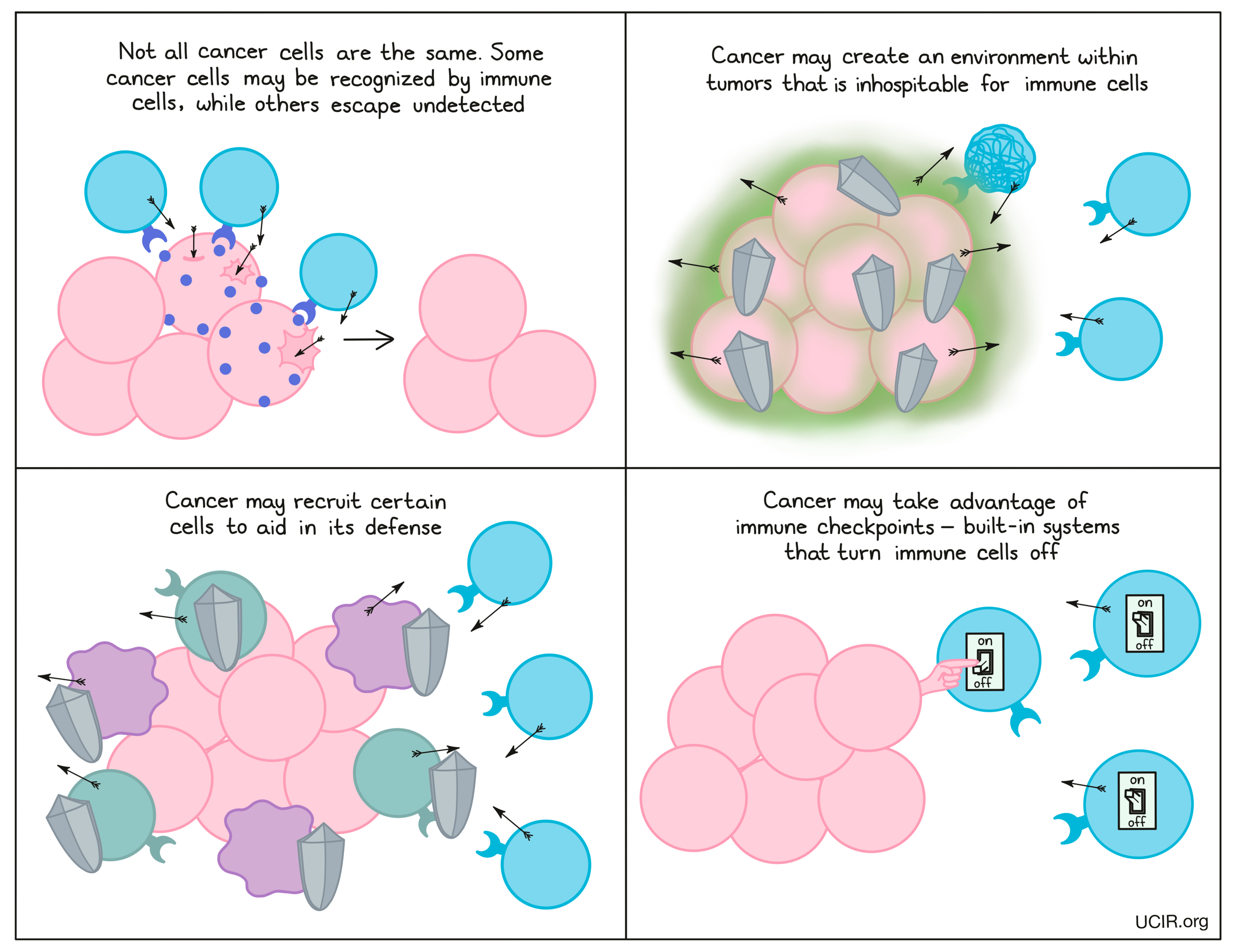 Depiction of the ways that cancer cells subvert immune system responses.