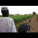 Sudan Transport 11