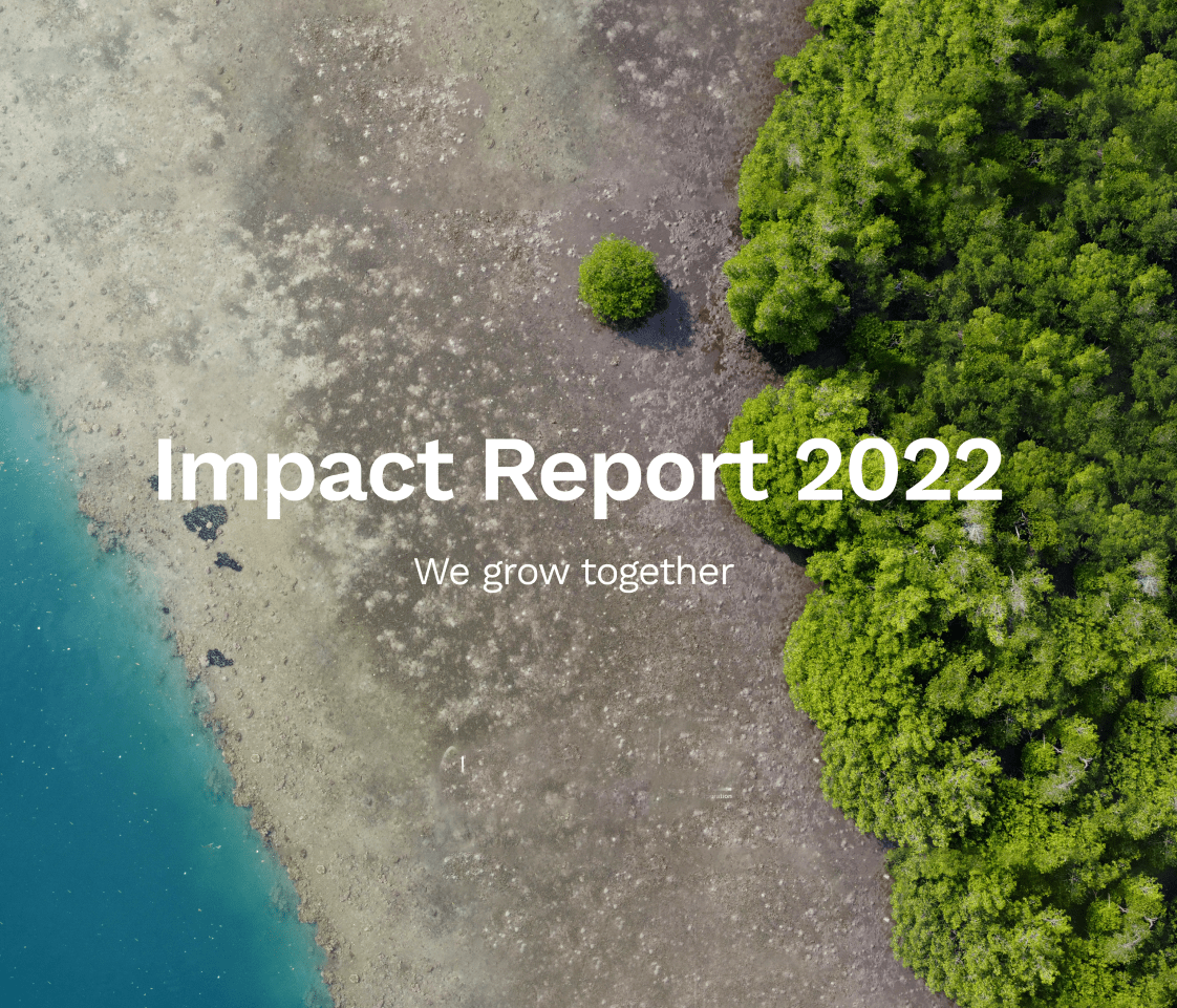 Impact Report 2022 cover