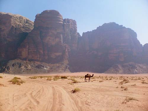 Wadi Rum 3