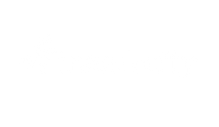 profitroom-partners-logo-travelocity