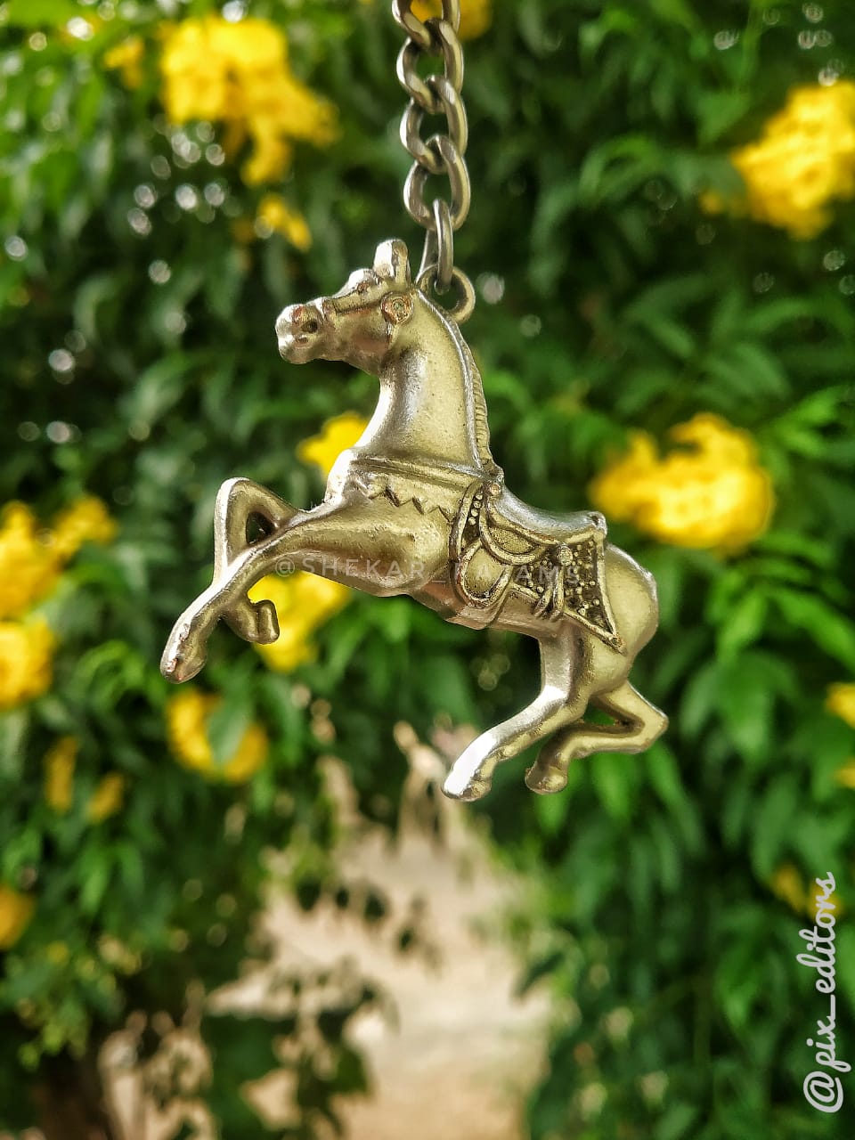 horse-locket